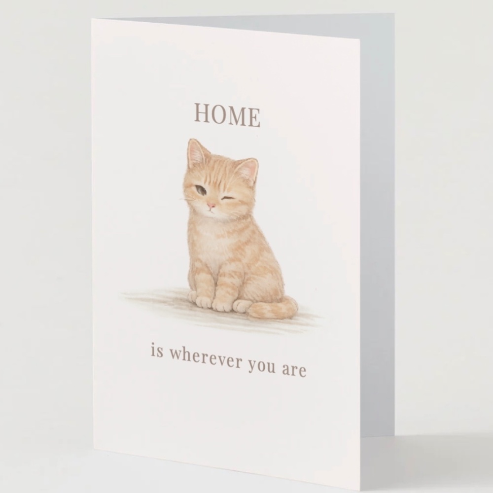 Cute Cat Greeting Card Set – Friendship, Encouragement, Birthday Notes